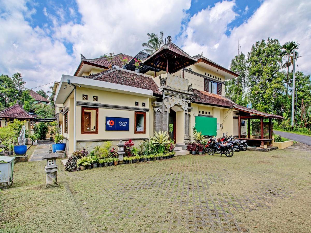 Collection O 91319 Bokashi Lodge Gobleg  المظهر الخارجي الصورة