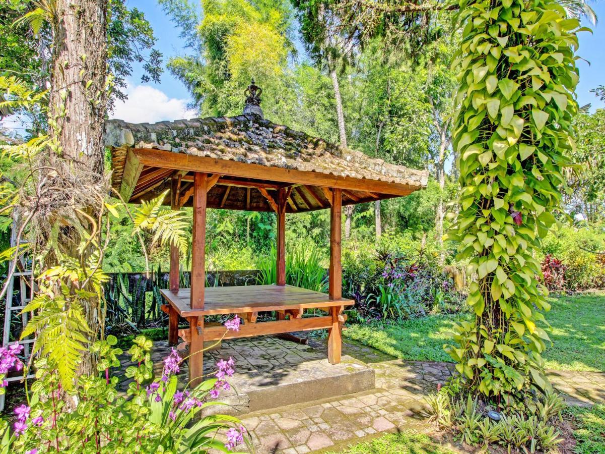 Collection O 91319 Bokashi Lodge Gobleg  المظهر الخارجي الصورة